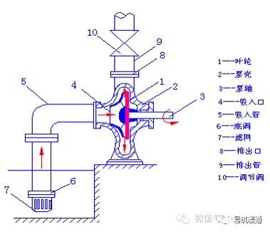 1.常见疾病基本知识：急性白血病、慢性白血病、再生障碍性贫血、特发性血小板减少性紫癜、淋巴瘤、血友病等的病因、症状、体征、处理原则