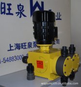 33款110v220v家用增压隔膜泵小型电动往复式自吸高
