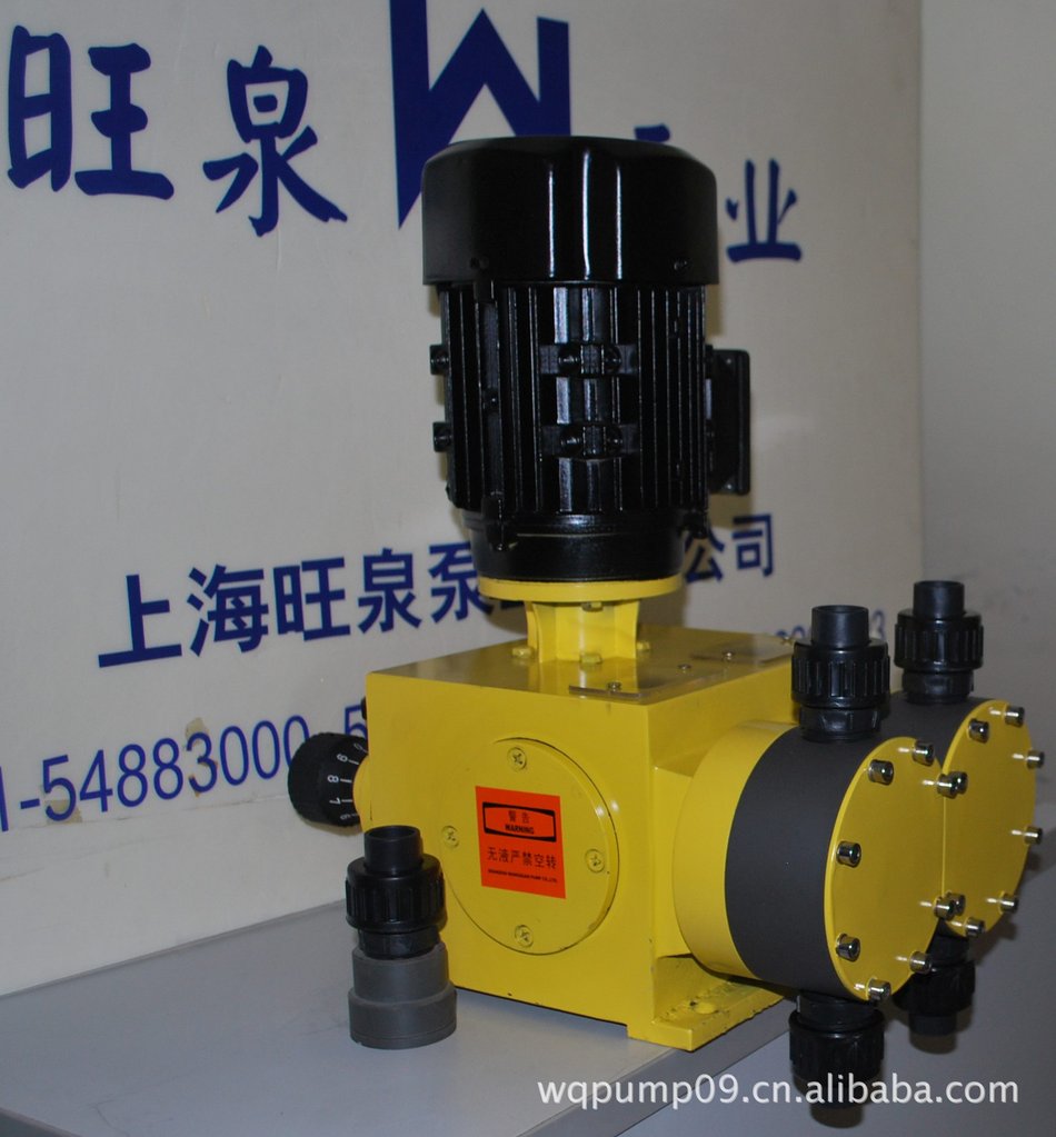 33款110v220v家用增压隔膜泵小型电动往复式自吸高压自动开关水泵